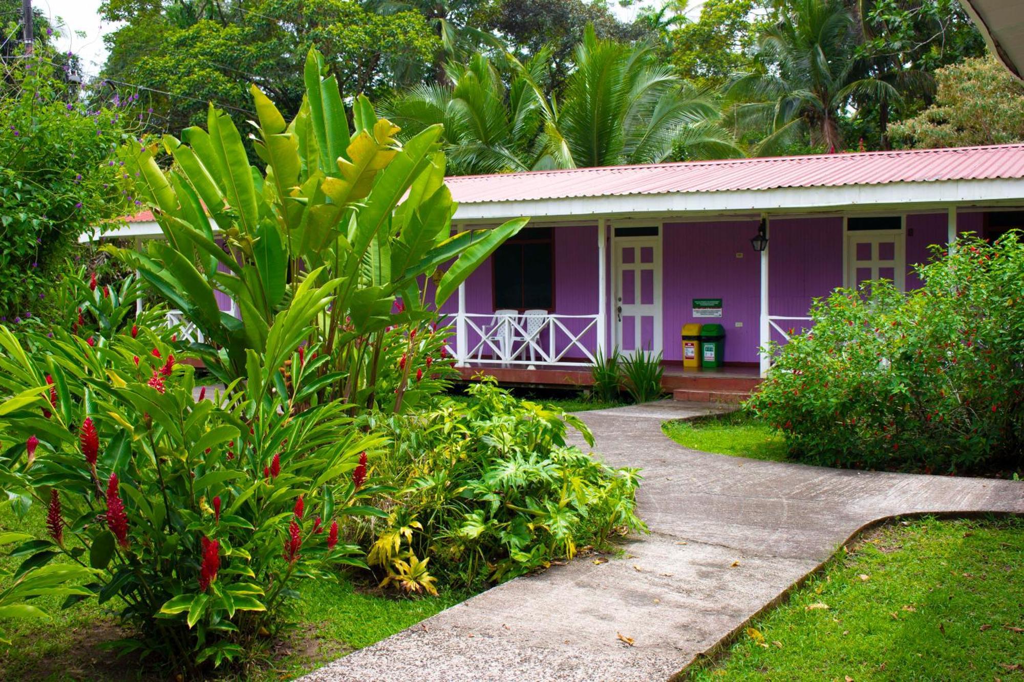 Valverde Glamping & Ecolodge Tortuguero Exterior photo