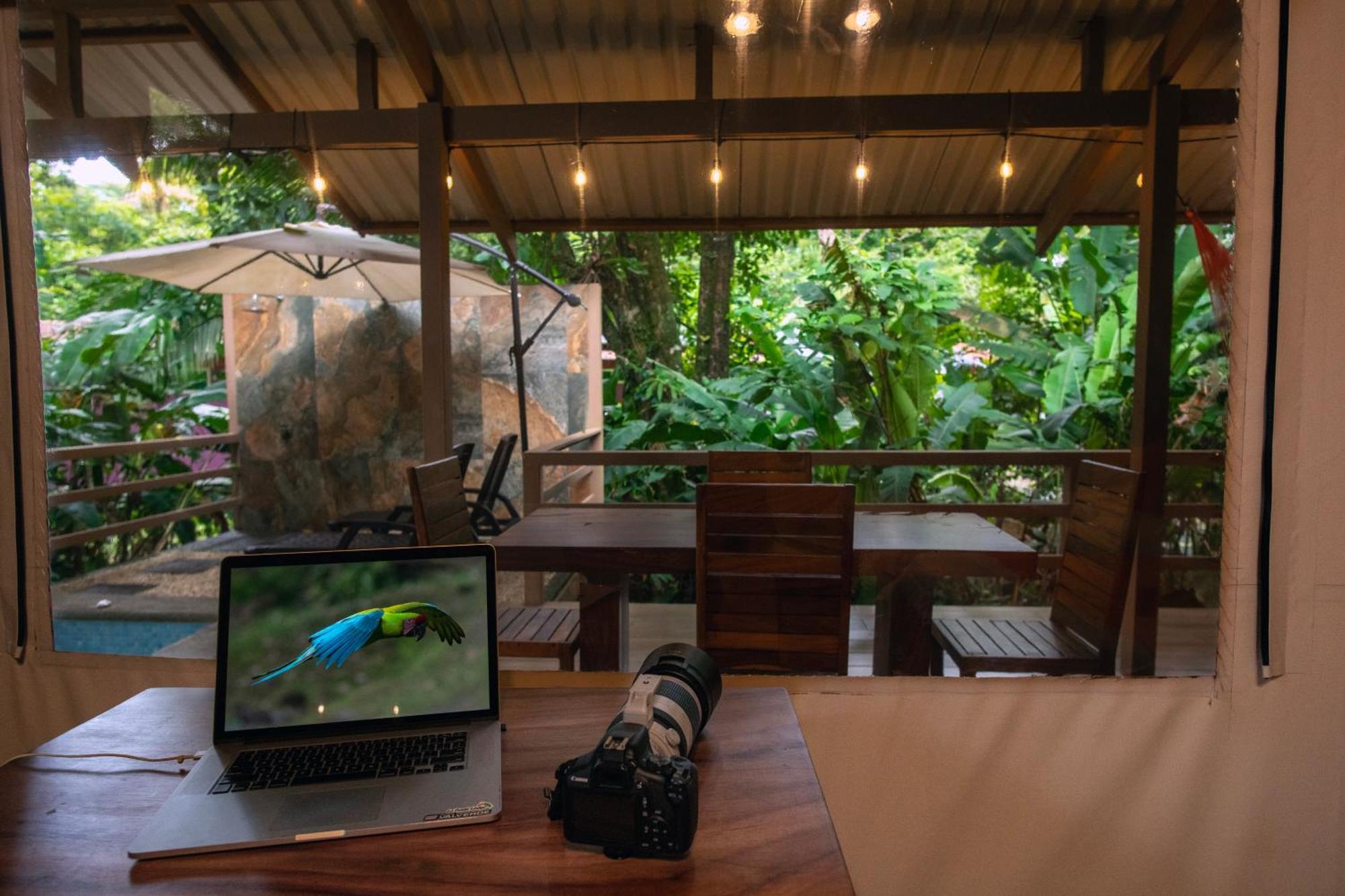 Valverde Glamping & Ecolodge Tortuguero Exterior photo
