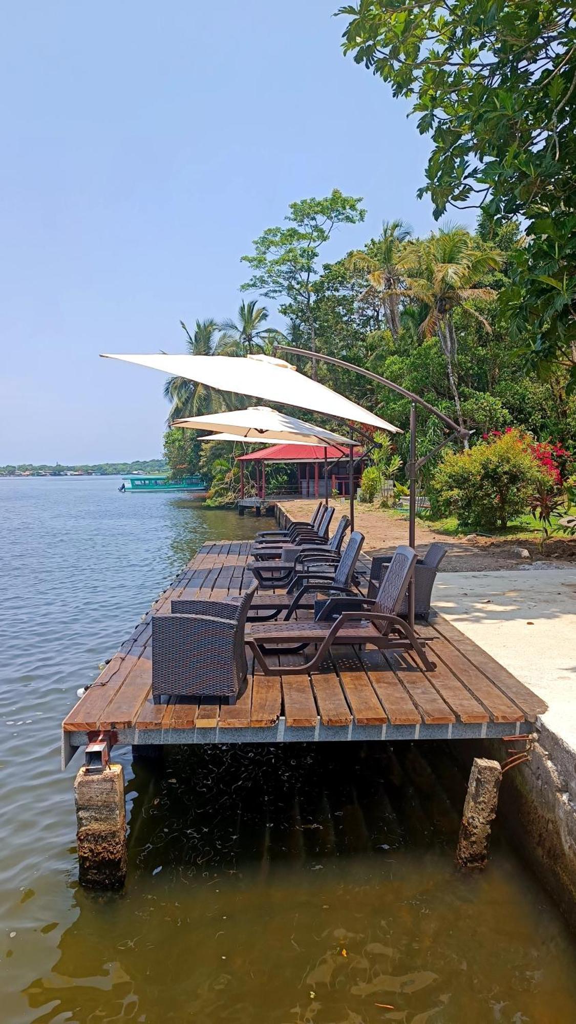 Valverde Glamping & Ecolodge Tortuguero Exterior photo