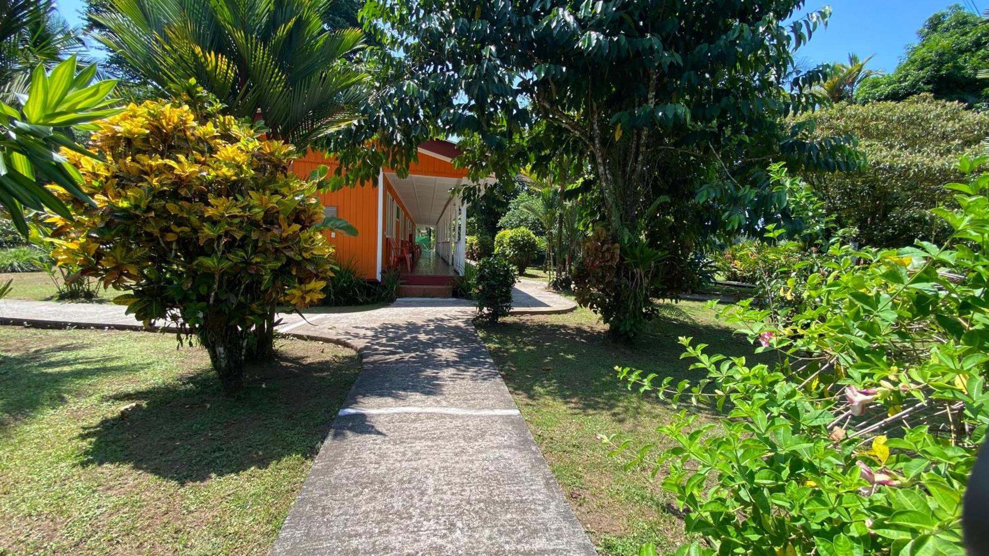 Valverde Glamping & Ecolodge Tortuguero Exterior photo