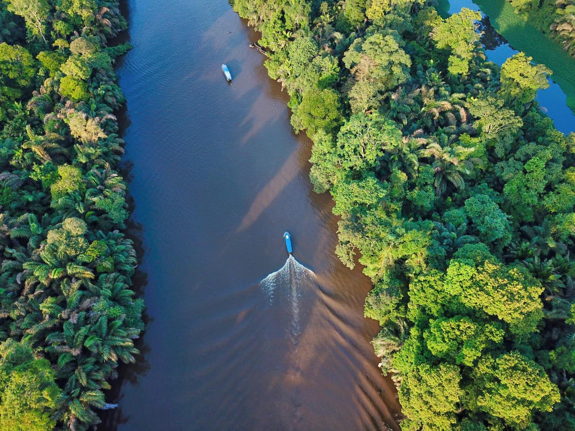 Valverde Glamping & Ecolodge Tortuguero Exterior photo