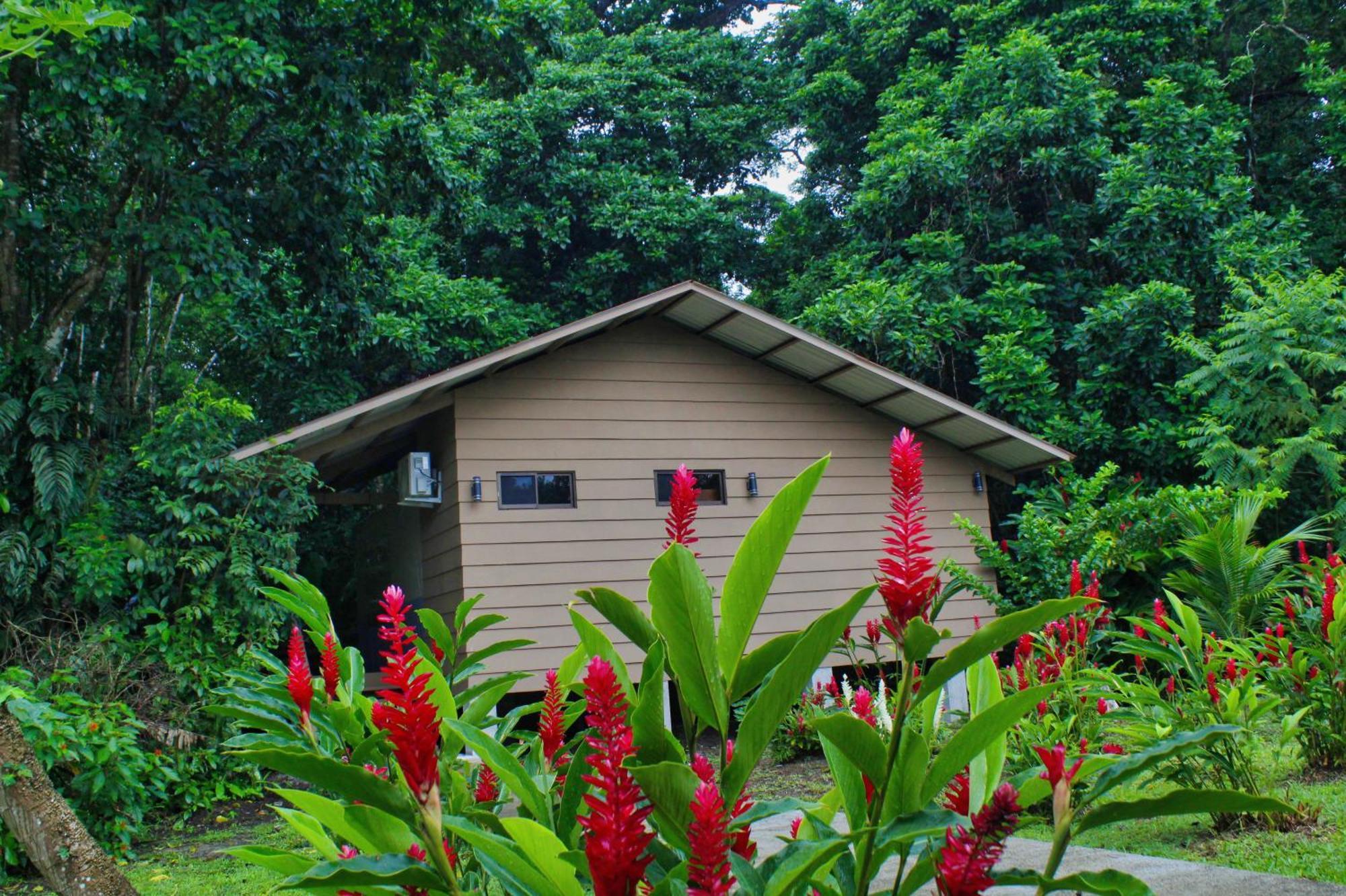 Valverde Glamping & Ecolodge Tortuguero Exterior photo